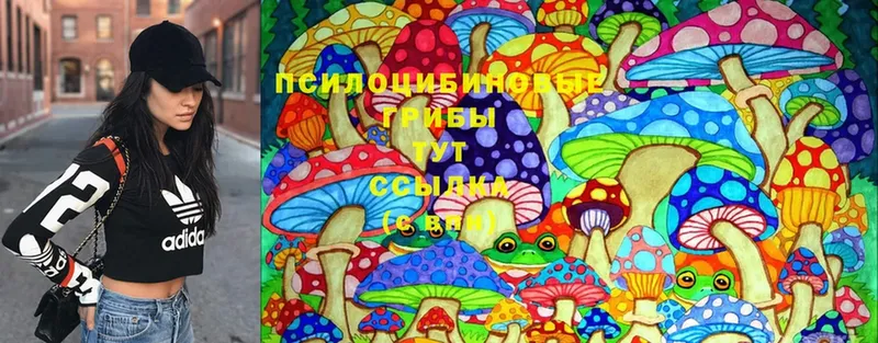 Галлюциногенные грибы MAGIC MUSHROOMS  Александровск 