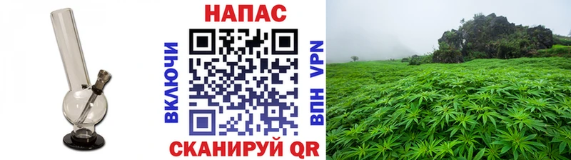 Бошки Шишки сатива Александровск